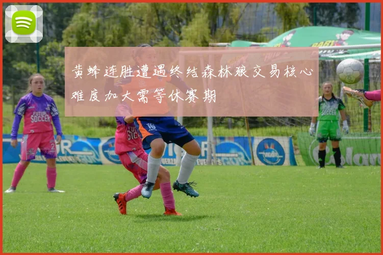 黄蜂连胜遭遇终结森林狼交易核心难度加大需等休赛期